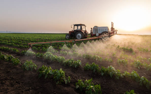 Best Pest Inspection Near Me  in Bartonville, TX