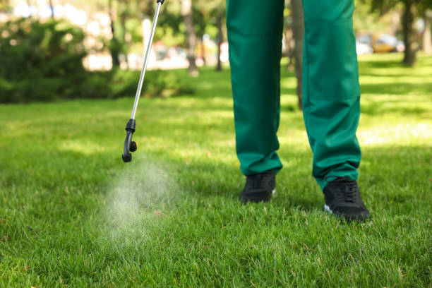 Best Exterminator Services  in Bartonville, TX