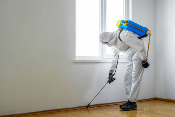Best Termite Control Services  in Bartonville, TX