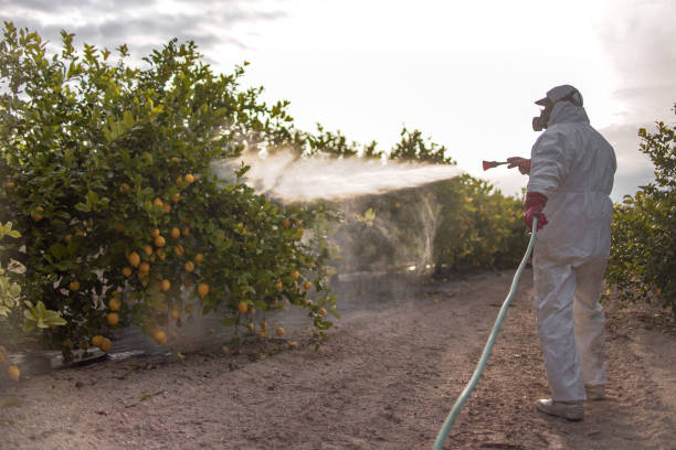 Professional Pest Control in Bartonville, TX