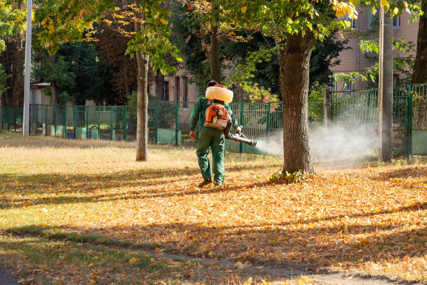 Best Pest Control Near Me  in Bartonville, TX