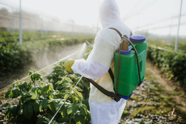 Pest Control Cost in Bartonville, TX